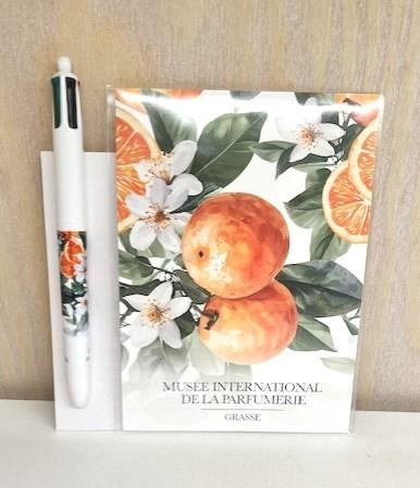 STYLO BIC 4 COULEURS FLEUR D'ORANGER